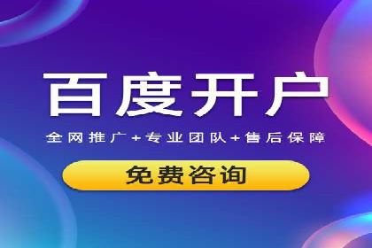 SEM托管公司案例分析：数据驱动决策